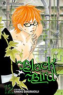 couverture, jaquette Black Bird 12 Américaine (Viz media) Manga