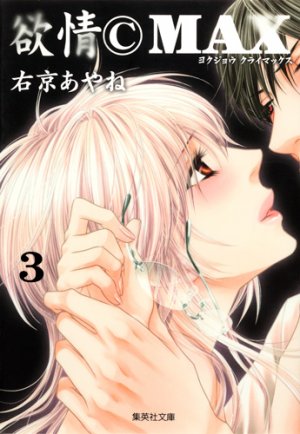 couverture, jaquette Désir © MAX 3 Bunko (Shueisha) Manga