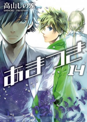 couverture, jaquette Amatsuki 14  (Ichijinsha) Manga