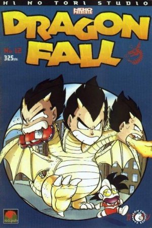 couverture, jaquette Dragon Fall 12  (Hi No Tori Studio) Global manga