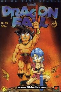 couverture, jaquette Dragon Fall 34  (Hi No Tori Studio) Global manga