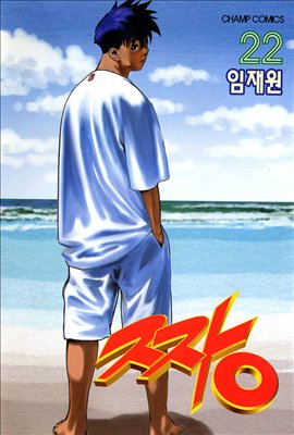 couverture, jaquette The Boss 22 Coréenne (Daiwon) Manhwa