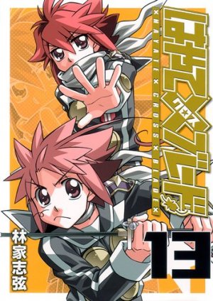 couverture, jaquette Hayate x Blade 13  (Shueisha) Manga