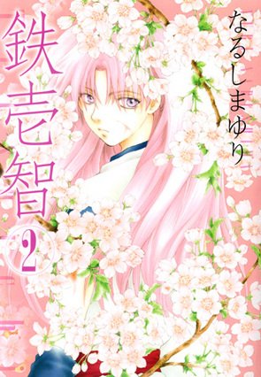couverture, jaquette Tetsuichi 2  (Ichijinsha) Manga