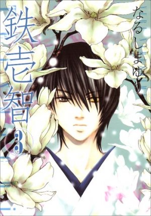 couverture, jaquette Tetsuichi 3  (Ichijinsha) Manga
