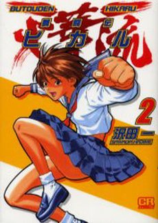 couverture, jaquette Butôden Hikaru 2  (Jive) Manga