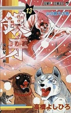 couverture, jaquette Ginga Nagareboshi Gin 13  (Shueisha) Manga