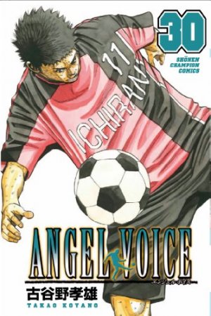 Angel Voice 30