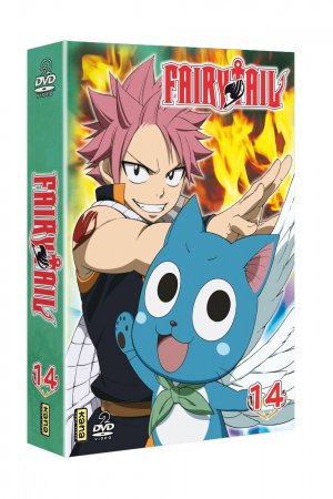 couverture, jaquette Fairy Tail 14 Coffrets DVD (Kana home video) Série TV animée