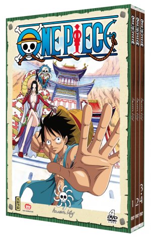 One Piece édition DVD - Saison 8 - Amazon Lily