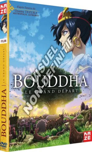 couverture, jaquette Bouddha - Le Grand Départ  DVD (Kaze) Film