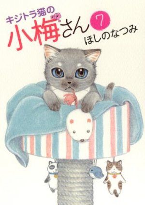 couverture, jaquette Plum, un amour de chat 7  (Shônen Gahôsha) Manga