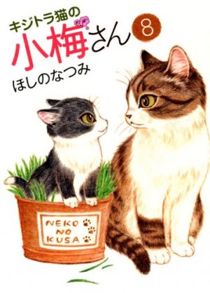 couverture, jaquette Plum, un amour de chat 8  (Shônen Gahôsha) Manga