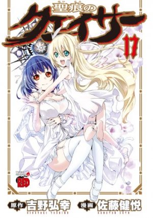 couverture, jaquette The Qwaser of Stigmata 17  (Akita shoten) Manga