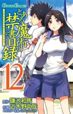 couverture, jaquette A Certain Magical Index 12  (Square enix) Manga