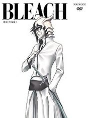 couverture, jaquette Bleach 27  (Aniplex) Série TV animée