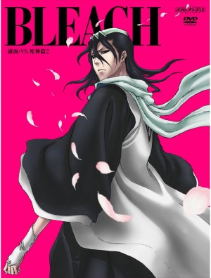 couverture, jaquette Bleach 47 Limitée (Aniplex) Série TV animée