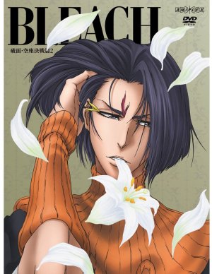 couverture, jaquette Bleach 53  (Aniplex) Série TV animée