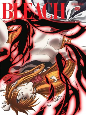 couverture, jaquette Bleach 65  (Aniplex) Série TV animée