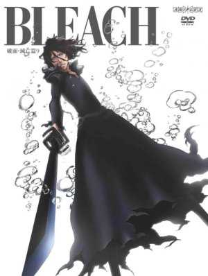couverture, jaquette Bleach 73  (Aniplex) Série TV animée