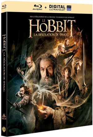 Le Hobbit : la Désolation de Smaug édition Simple