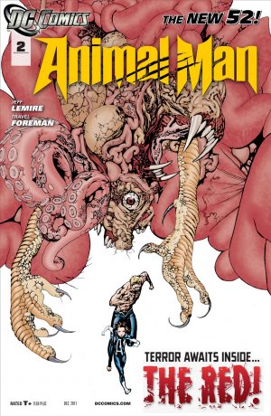 Animal Man 2 - 2 - cover #1