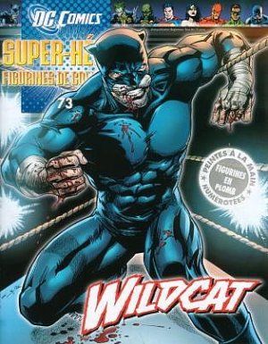 DC Comics Super Héros - Figurines de collection 73 - wild cat