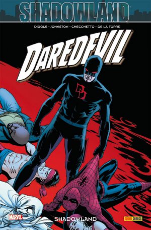 couverture, jaquette Daredevil 22 TPB Softcover - 100% Marvel - Issues V2 (Panini Comics) Comics