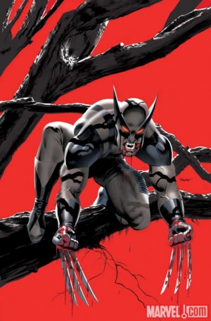 Wolverine 1 - 1 - variant cover
