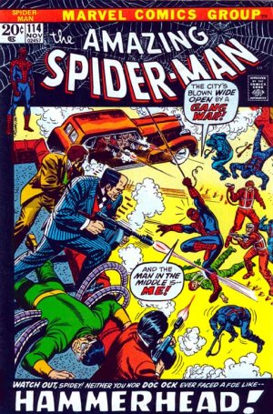 The Amazing Spider-Man 114 - Gang War, Shmang War! What I Want To Know Is... Who The Heck...