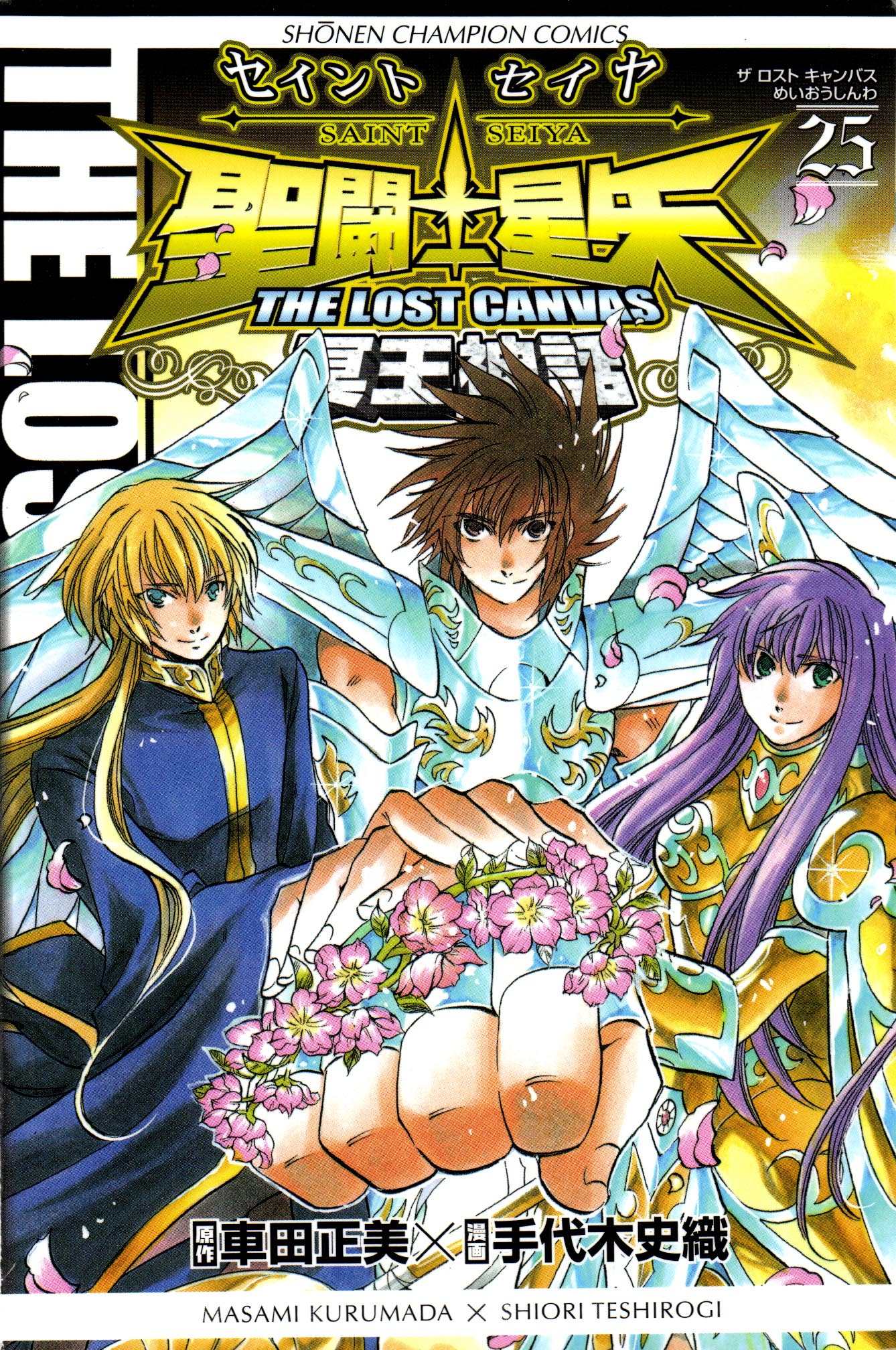Saint Seiya The Lost Canvas Scan Fr Saint Seiya - The Lost Canvas 25 simple (Akita shoten)