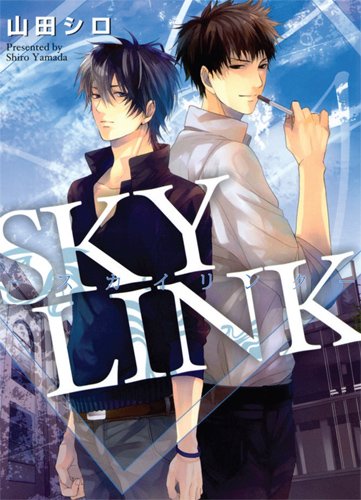 Sky Link chez Taifu Comics