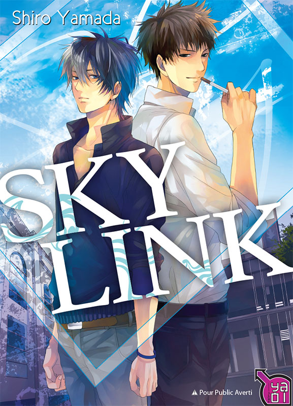 Lecture en ligne : Sky link