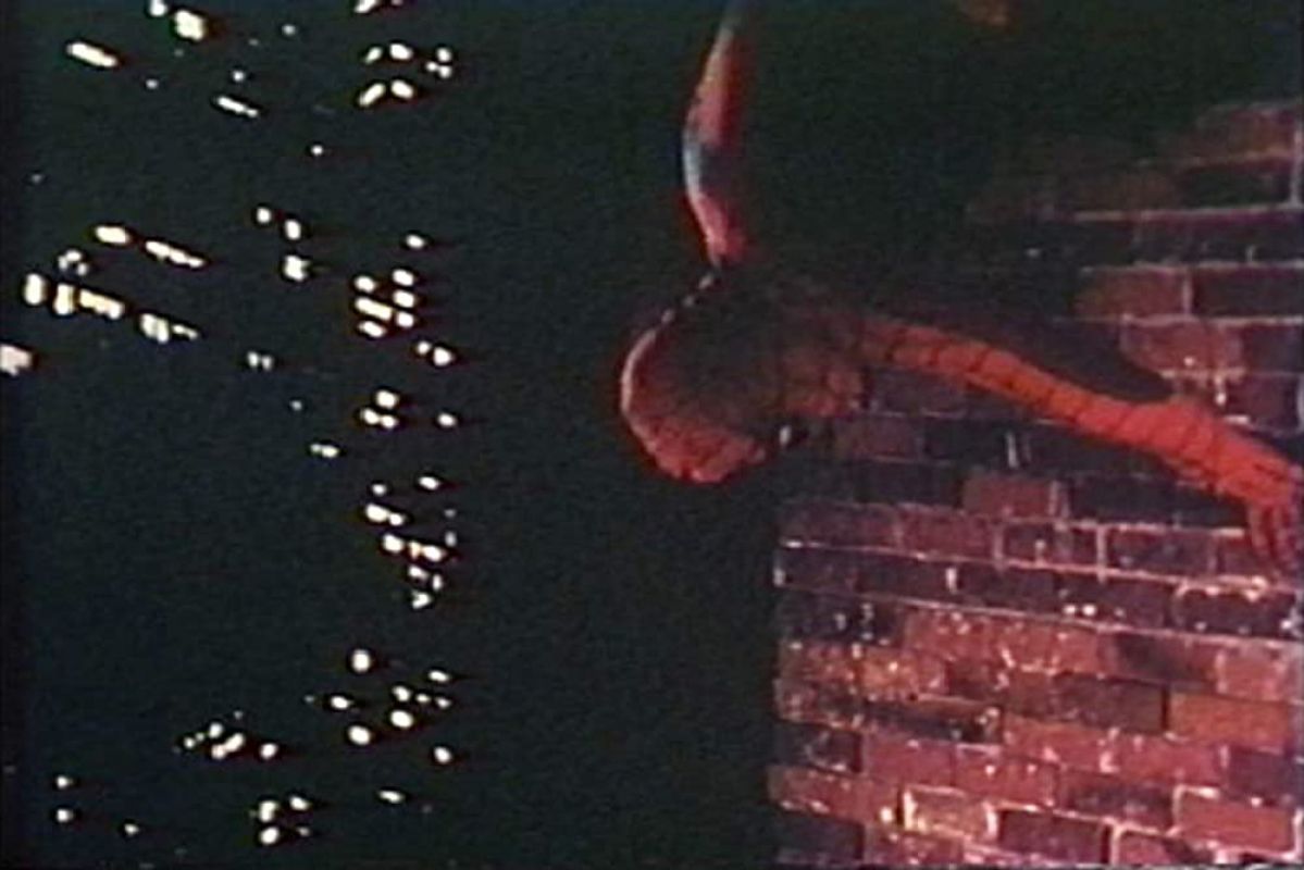Fan-film : Spider-Man Versus Kraven the Hunter (1974)